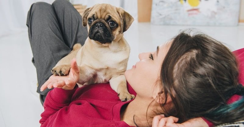 How To Welcome Dwelling Your New Pet