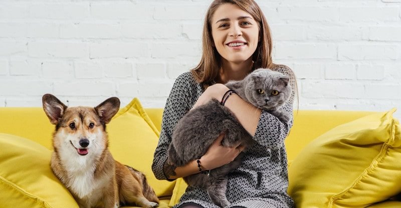 How Pets Can Assist Nervousness Victims Chill out