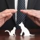 Ideas from Spokk for Maximizing Your Pet Insurance coverage Protection