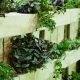 6 Finest Herbs And Greens To Develop In A Vertical Backyard