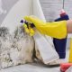 How To Deal With Mould On Drywall