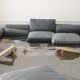 Guidelines For House Clear Up After Water Harm